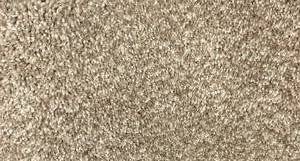 12 x 10 (120 sq ft) Dream Weaver Broadcast Plus Chestnut Carpet Remnant