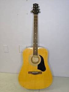 lot 100 image: Silvertone Pro Series Acoustic Guitar with Case - Z