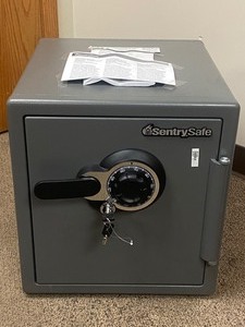 lot A-4 image: Sentry Personal Safe