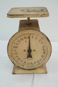 lot 105 image: scale