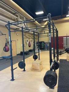 Rogue Infinity Rig