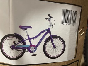 lot 19 image: Schwinn Signature Girls SunnySide 20 Bike Customer returns see the pictures
