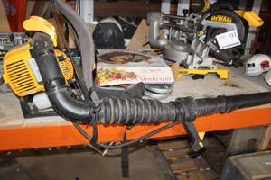lot 17 image: Cub Cadet CC4BP Gas Backpack Blower
