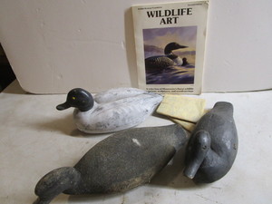 Decoys, Wildlife Art