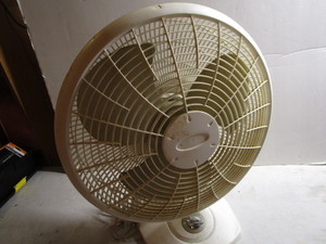 Fan