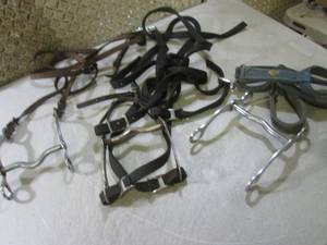 (BS) Horse Stuff...