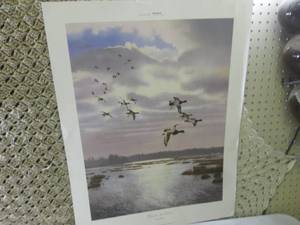 (FS) Scot Storm SignedNumbered Ri...