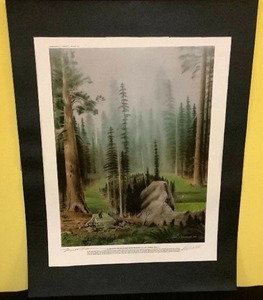 lot 61 image: Signed Trevino Trails Horseshoe Hollow Print