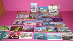 Misc. Postcards. Salt Lake, Miami, Dogs, Mt Rushmore and more.
