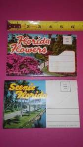 (2) Photo Packs Florida 1957