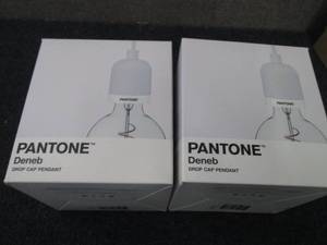 lot 63 image: 2 Pantone Deneb Drop Cap Pendant Li...