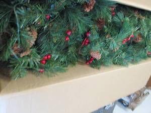 assortment of cones and berries ...