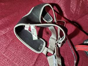 lot 33 image: Dog Harnesses and Stake