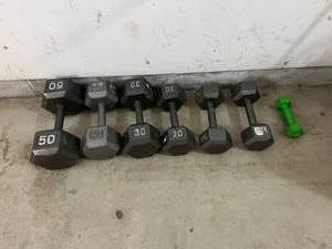 lot 78 image: Dont WEIGHT until spring to get into shape. Buy these high-quality Cast Iron dumbbells. 