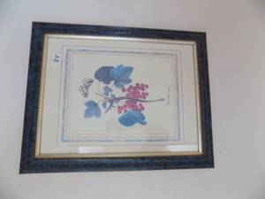 lot 84 image: Fruit BotGroseiler Roug