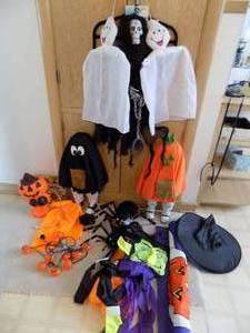lot 144 image: Lot of Halloween Decor