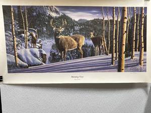 Morning View Print by Kim Norlien