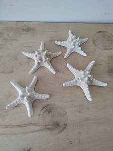 lot 98 image: Four Starfish Dcor