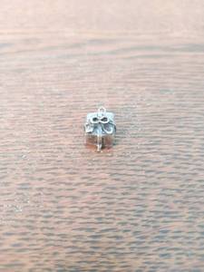Sterling Charm