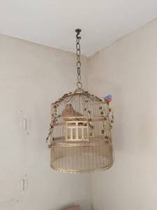 Bird Cage Decor