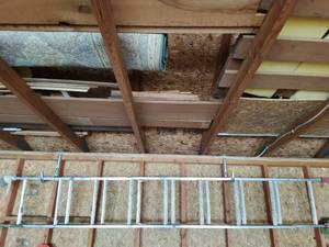 Extension Ladder