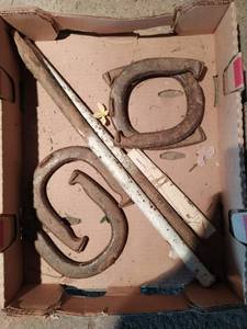 Horseshoe Game