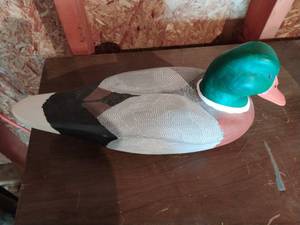 Mallard Decoy