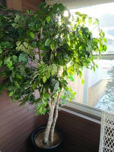 Decorative Tree