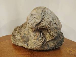 lot 10 image: RockFossil