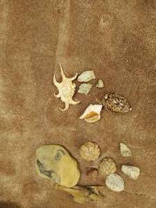 lot 238 image: Collection Of Stones, Shells And More
