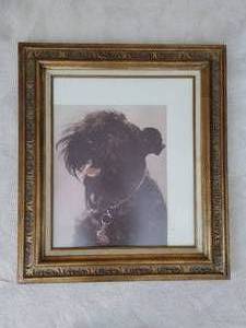 lot 199 image: Framed Dog Photo