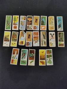 Collection of Nabisco Wildlife Cards