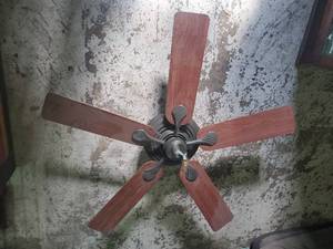 Complete Hunter Ceiling fan&nbsp