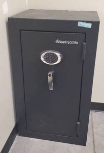 lot 630 image: 4.7 cu. ft. Electronic Lock Fire Safe, EF4738E - Locked, No Passcode