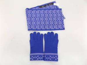 NEW COACH Glove and Scarf Set