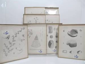 Lot of Antique 1850s Era U.S. Pacific Railroad Exposition &amp Survey Book Engravings
