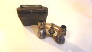 lot 45 image: Wow...1900 French Mother Of Pearl() Bronze Opera Glasses in Velvet-Lined Case