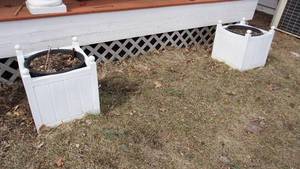 lot 324 image: Two White Square Outdoor Planters