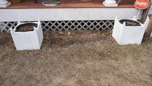 lot 325 image: Two White Square Outdoor Planters