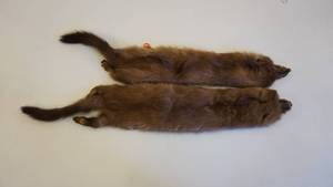 lot 339 image: Two Vintage Mink Pelts Made By Taylors From Raleigh