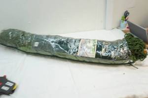 Hammock