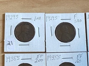 (11) Assorted Wheat Cents
