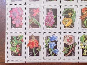 (1) 1992- 29 Cent American Wildflower Uncut Stamp Pane