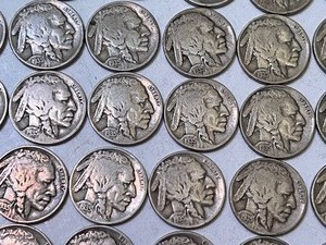 (40) U.S. Buffalo Nickel Coins