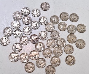 (40) U.S. Buffalo Nickel Coins