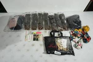 lot 170 image: Assorted Wigs, Hair Extensions, and Accessories