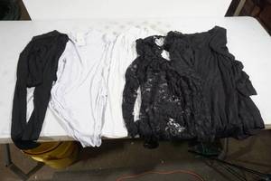 lot 163 image: Womens Tops - Size Small