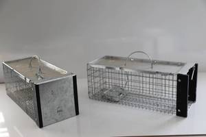 Two Steel Animal Trap Humane Rodent Cage Traps