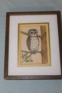 Owl On A Branch Signed Original Watercolor , FramedSingle Matte