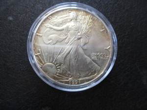 51. 1991 American Silver Eagle